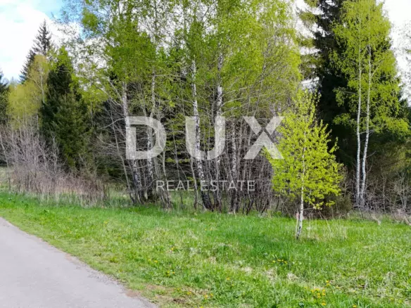Land In Ravna Gora, Croatia (1.553 M²)