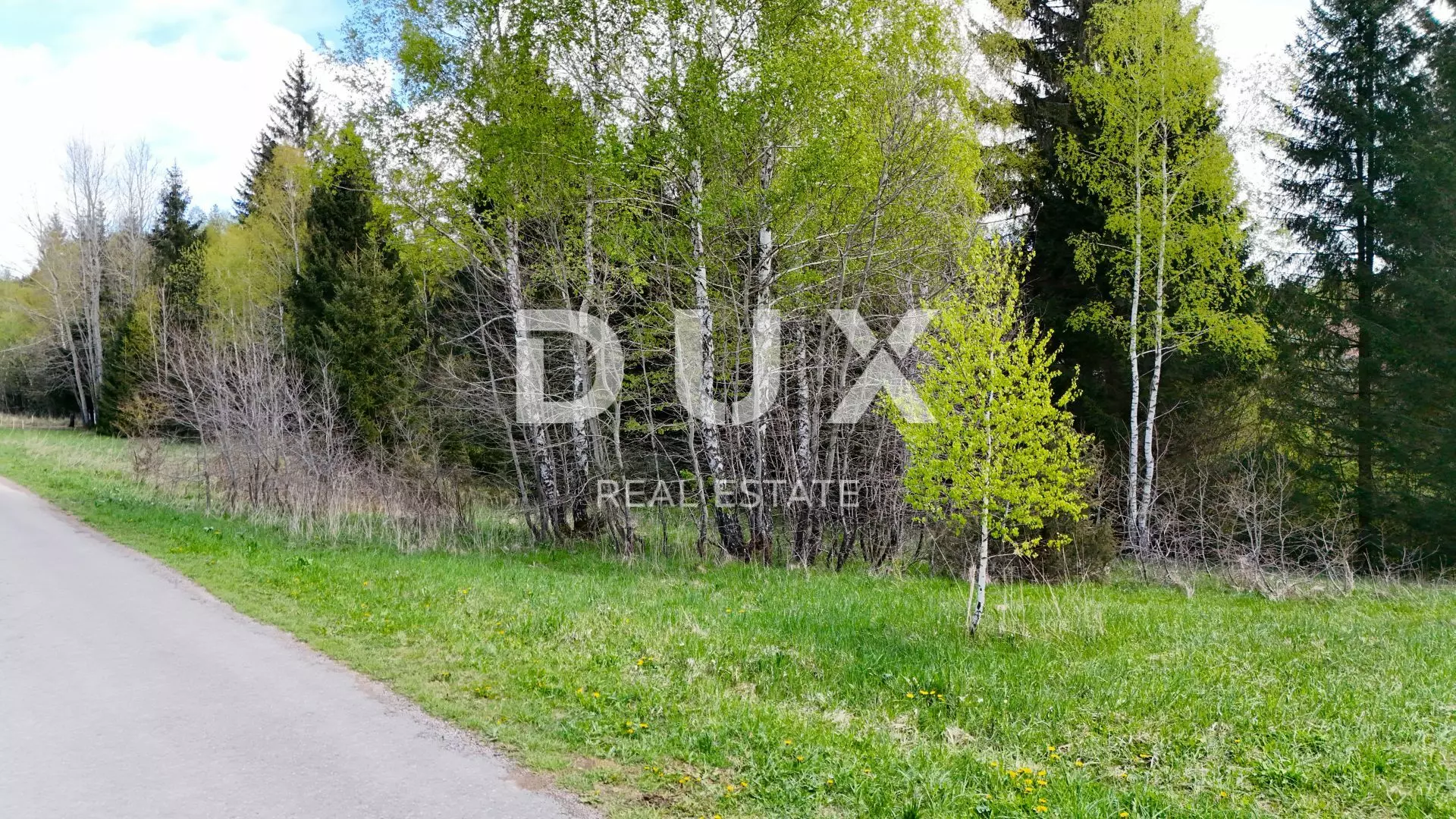 Land In Ravna Gora, Croatia (1.553 M²)