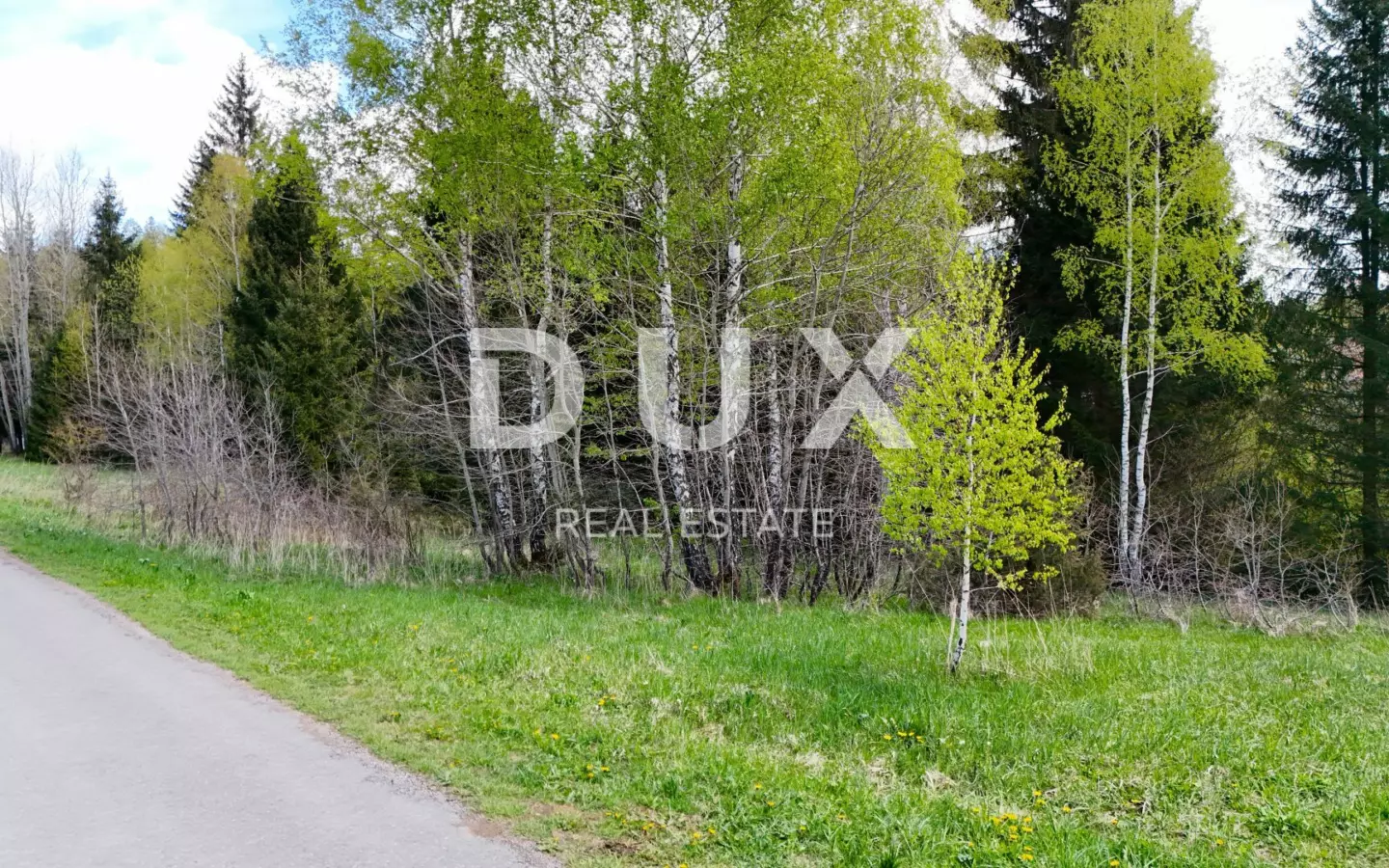 Land In Ravna Gora, Croatia (1.341 M²)