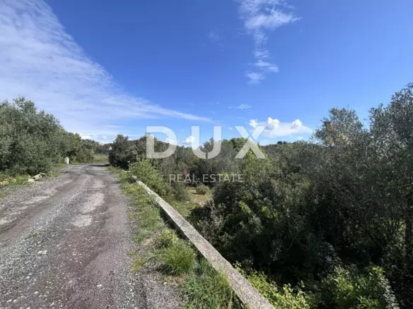 Land In Kukljica, Croatia (759 M²)