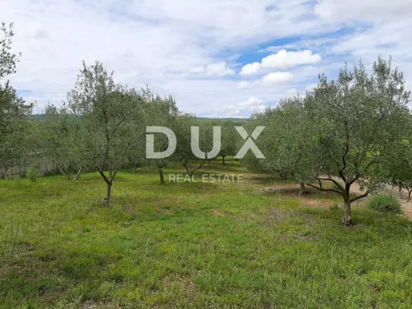 Land In Pridraga, Croatia (1.080 M²)