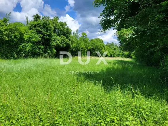 Land In Barban, Croatia (1.785 M²)