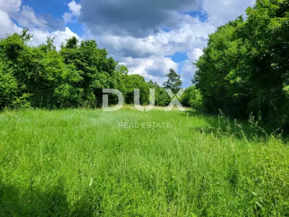 Land In Barban, Croatia (1.785 M²)
