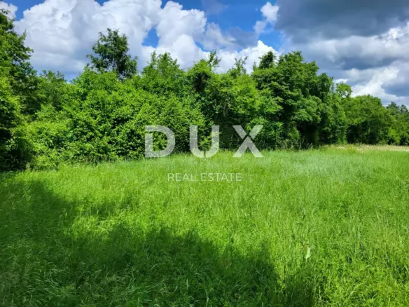 Land In Barban, Croatia (1.785 M²)