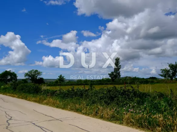 Land In Tinj, Croatia (1.395 M²)