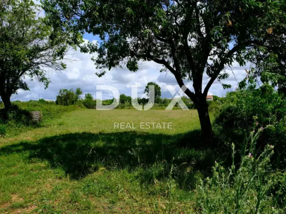 Land In Tinj, Croatia (1.395 M²)