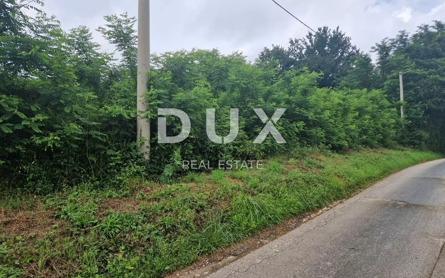 Land In Pićan, Croatia (8.651 M²)