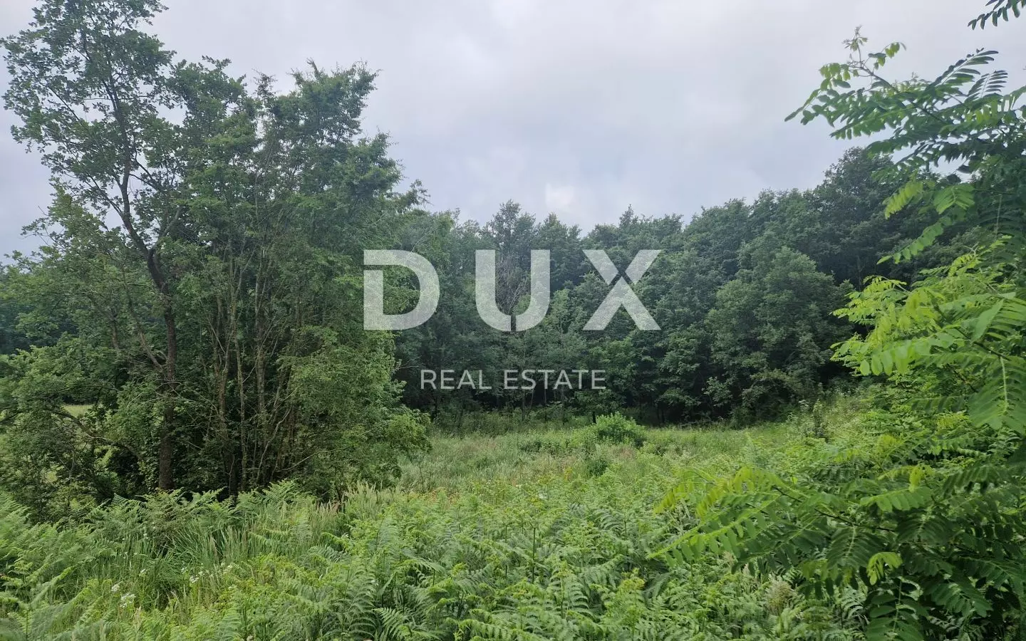 Land In Pićan, Croatia (8.651 M²)