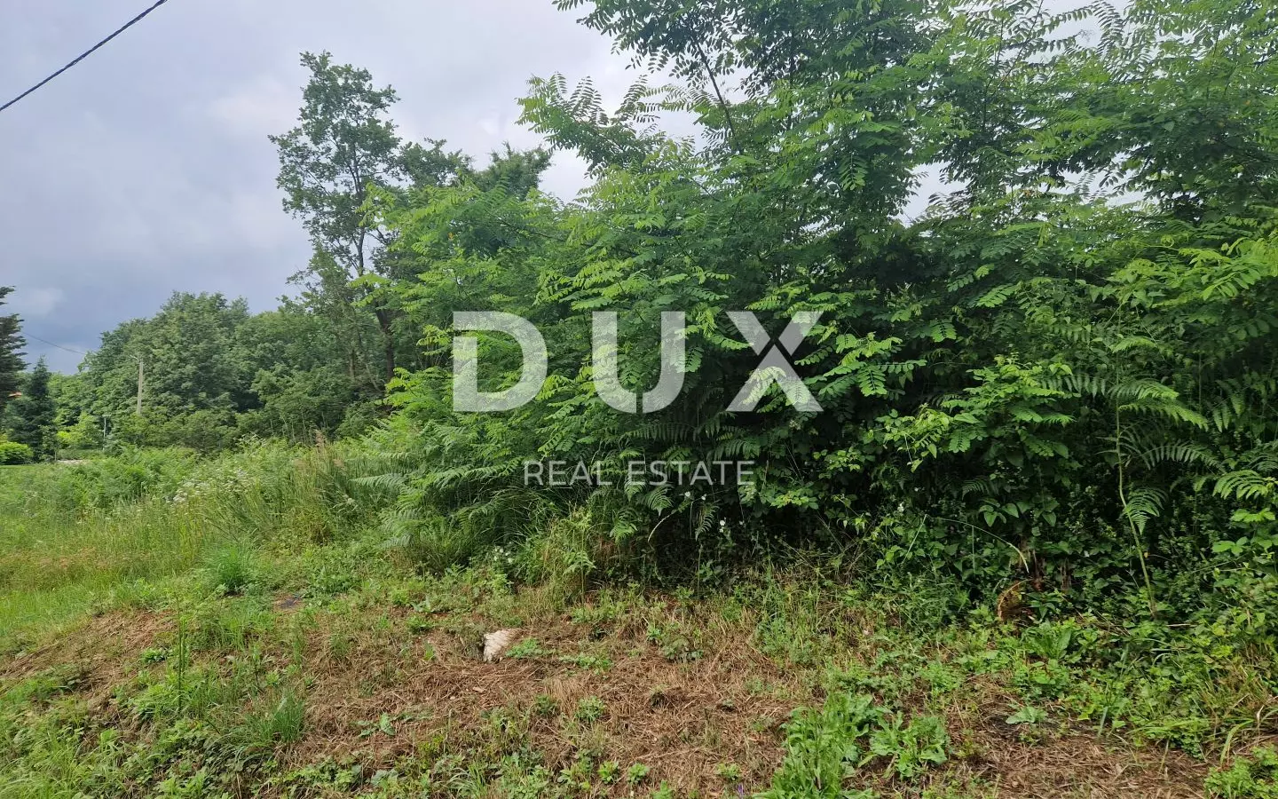 Land In Pićan, Croatia (8.651 M²)