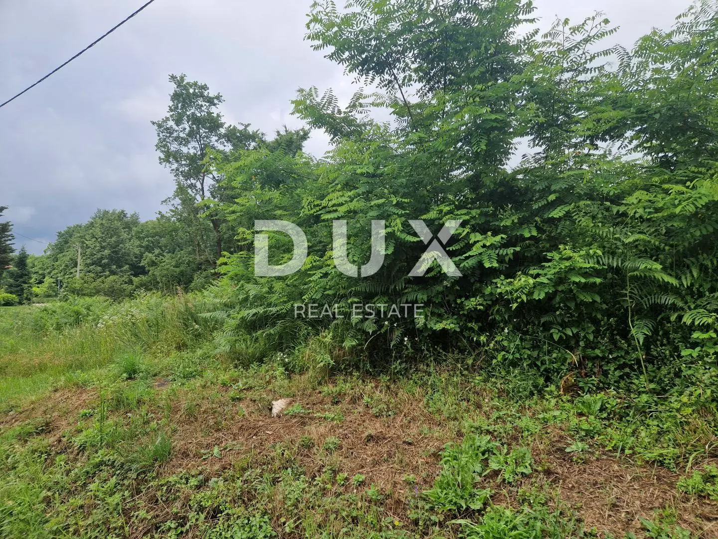 Land In Pićan, Croatia (8.651 M²)