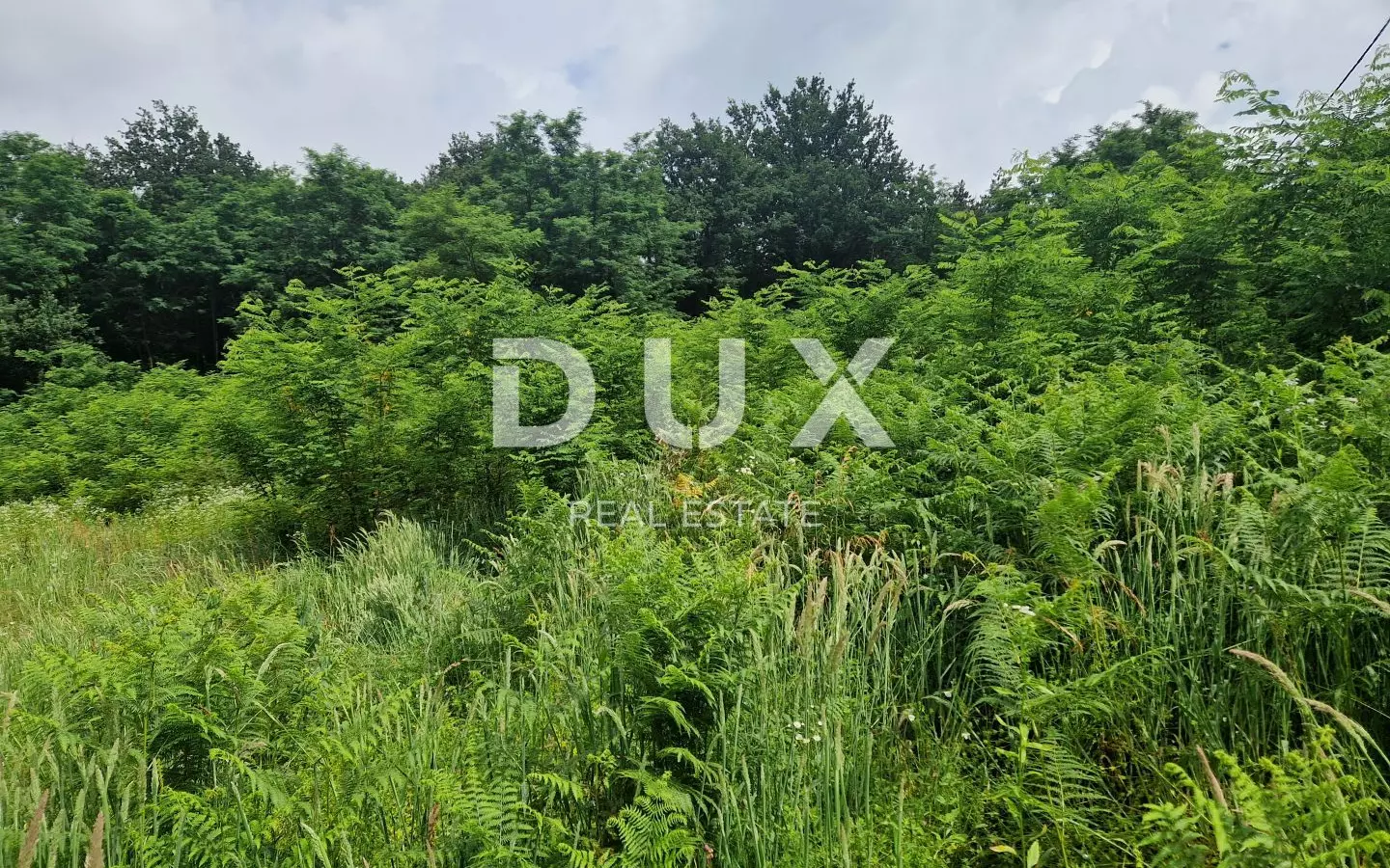 Land In Pićan, Croatia (8.651 M²)
