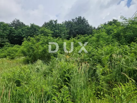 Land In Pićan, Croatia (8.651 M²)