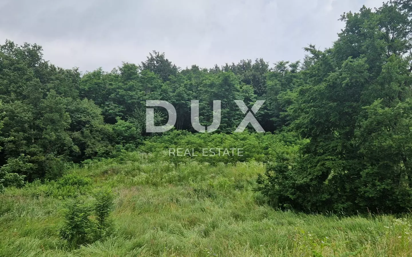 Land In Pićan, Croatia (8.651 M²)