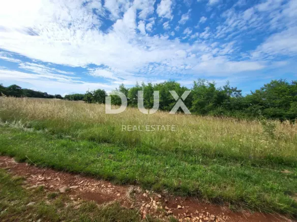 Land In Marčana, Croatia (1.535 M²)
