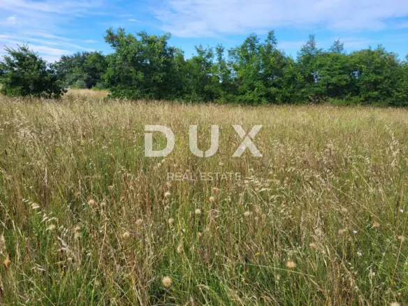 Land In Marčana, Croatia (1.535 M²)