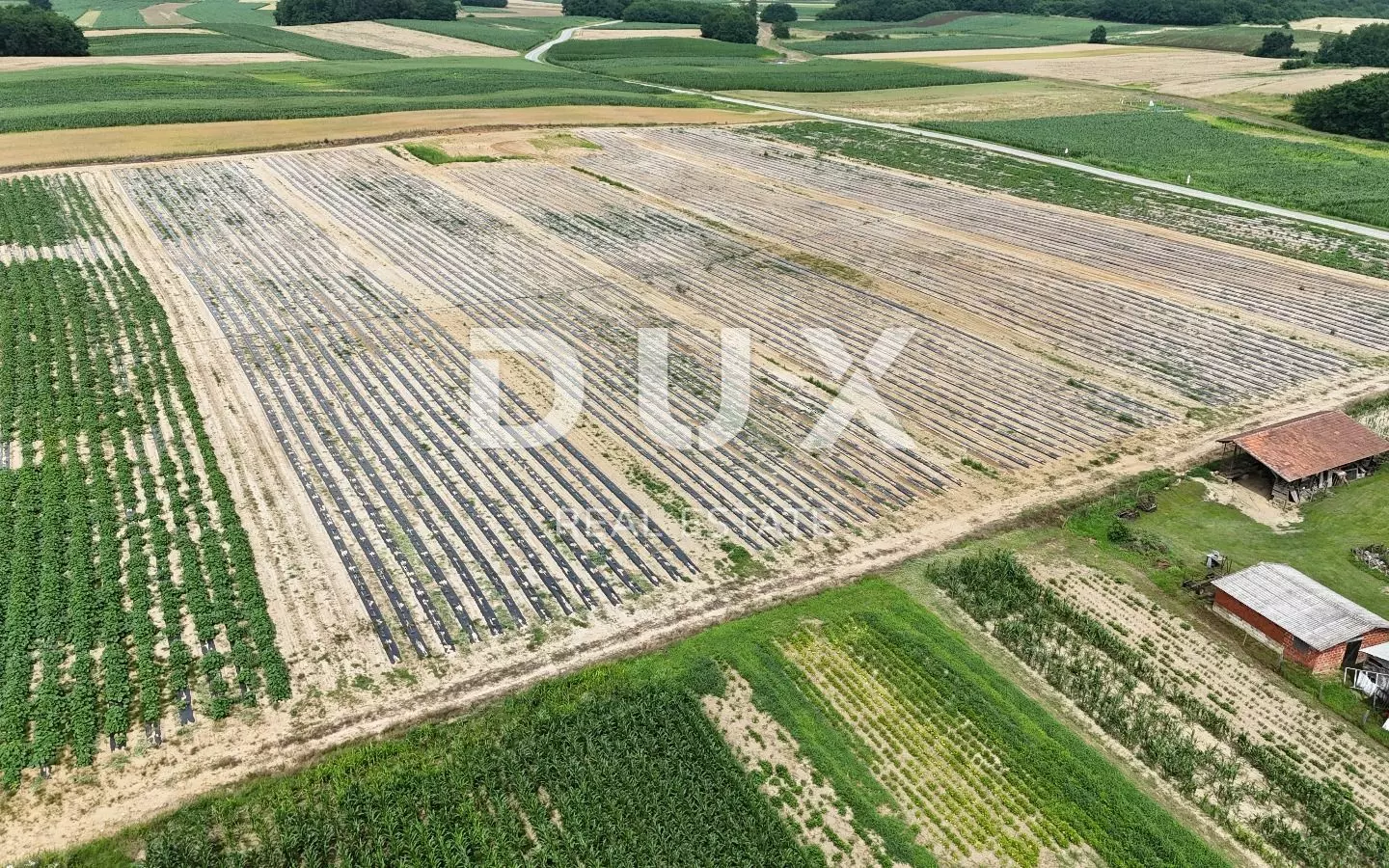 Land In Pitomača, Croatia (119.490 M²)