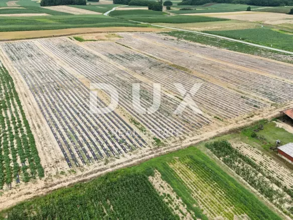 Land In Pitomača, Croatia (119.490 M²)