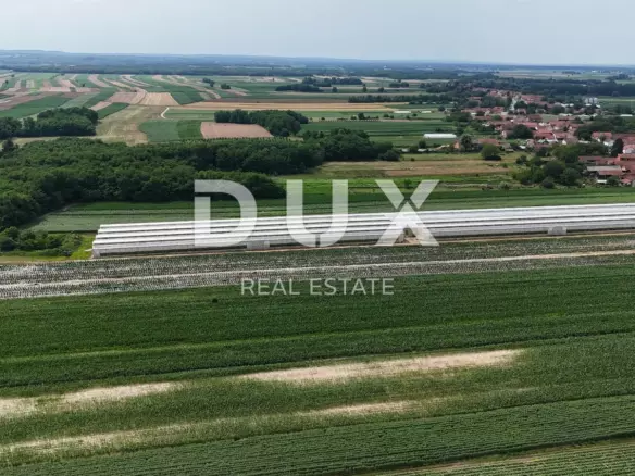 Land In Pitomača, Croatia (119.490 M²)