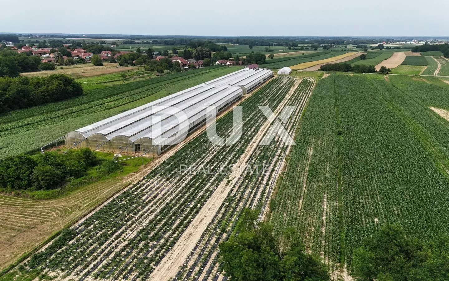 Land In Pitomača, Croatia (119.490 M²)