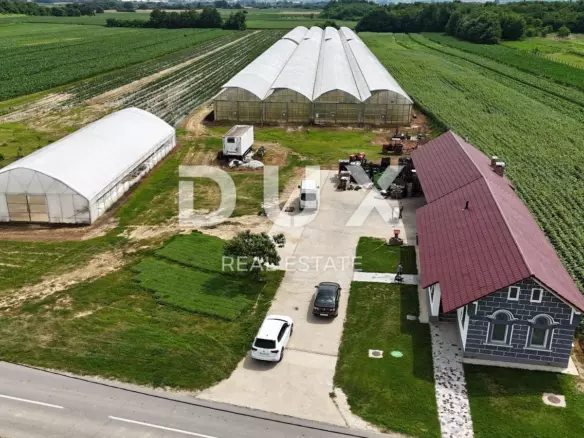 Land In Pitomača, Croatia (119.490 M²)