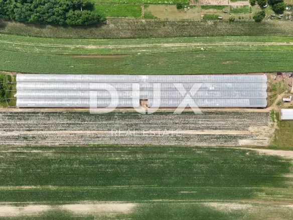 Land In Pitomača, Croatia (119.490 M²)