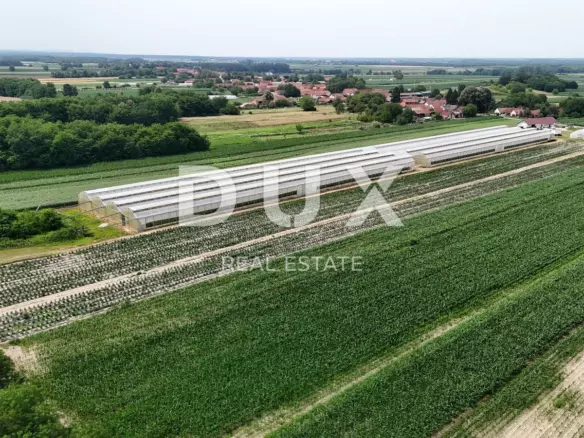 Land In Pitomača, Croatia (119.490 M²)