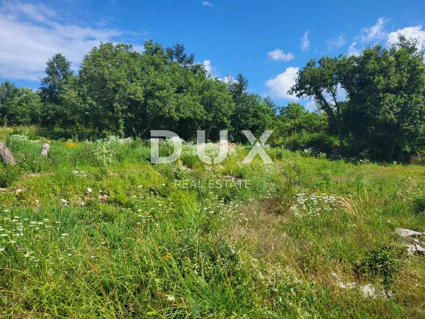 Land In Grožnjan, Croatia (678 M²)