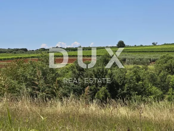 Land In Vižinada, Croatia (1.485 M²)