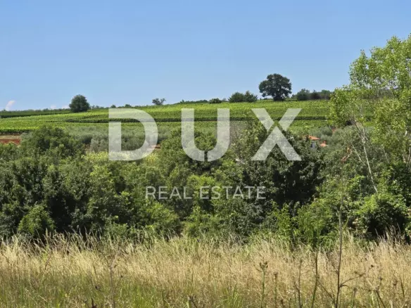Land In Vižinada, Croatia (735 M²)