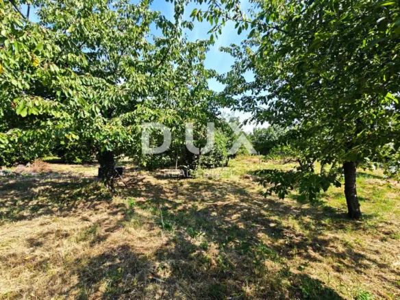 Land In Marinići, Croatia (1.650 M²)