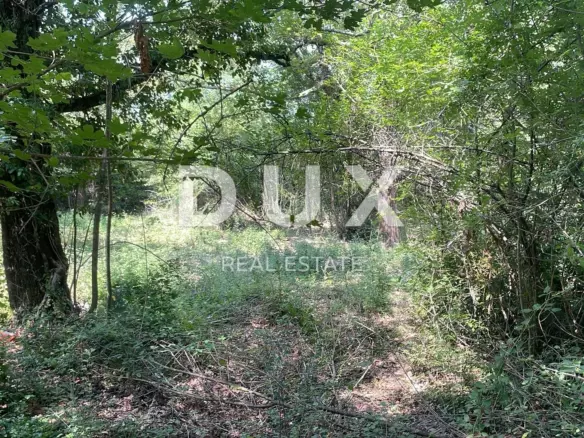 Land In Pićan, Croatia (3.380 M²)