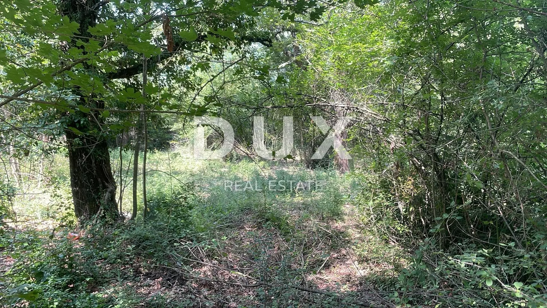 Land In Pićan, Croatia (3.380 M²)