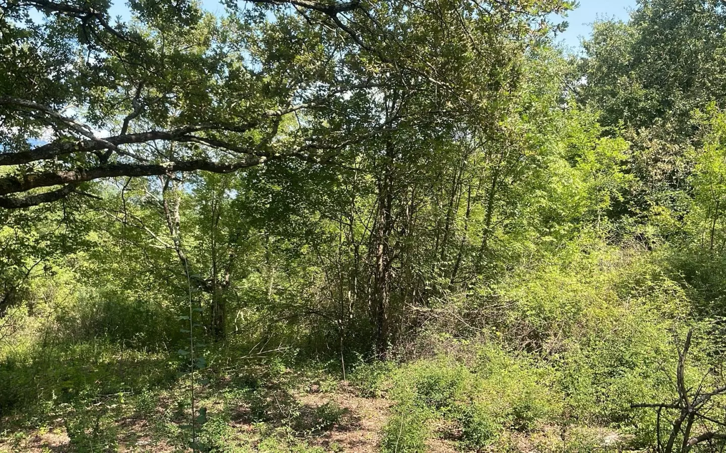 Land In Pićan, Croatia (3.380 M²)