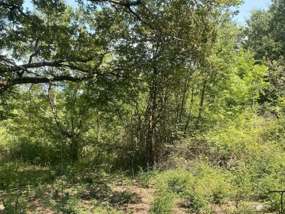 Land In Pićan, Croatia (3.380 M²)