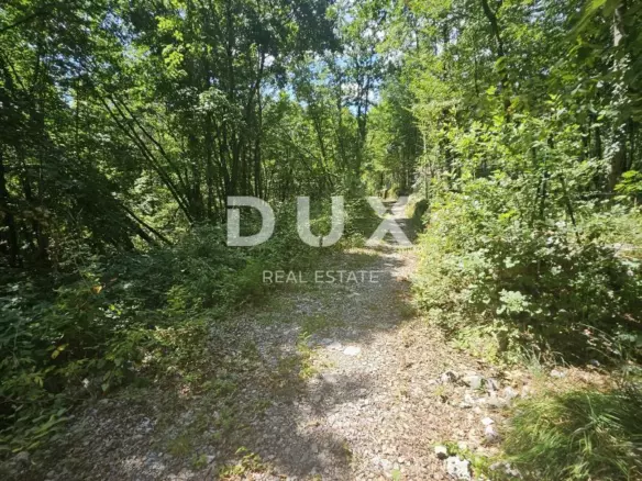 Land In Veprinac, Croatia (3.200 M²)