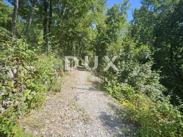 Land In Veprinac, Croatia (3.200 M²)