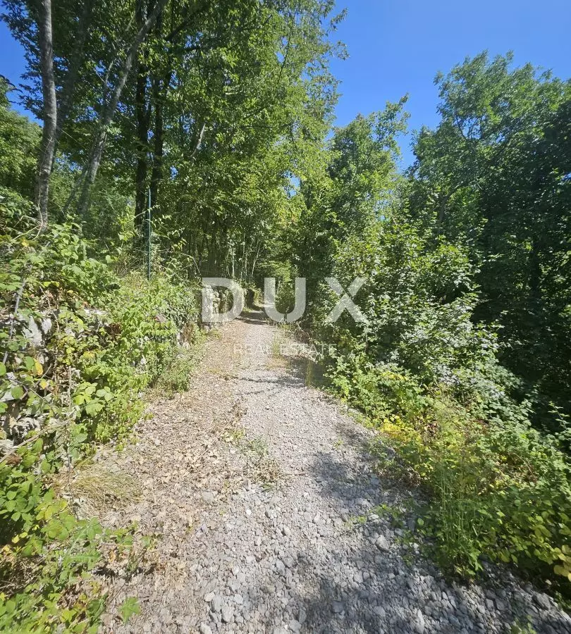 Land In Veprinac, Croatia (3.200 M²)