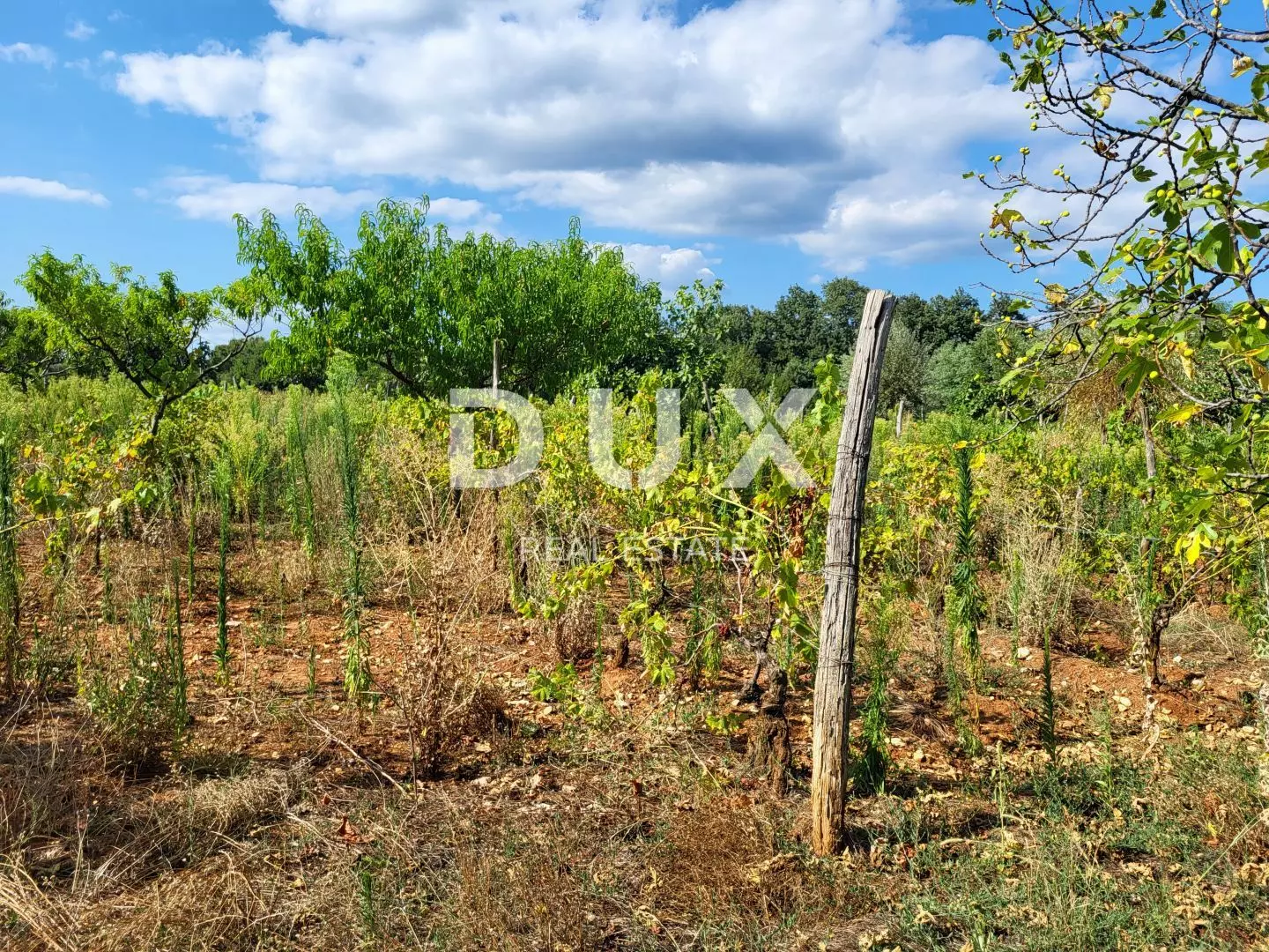 Land In Barban, Croatia (745 M²)