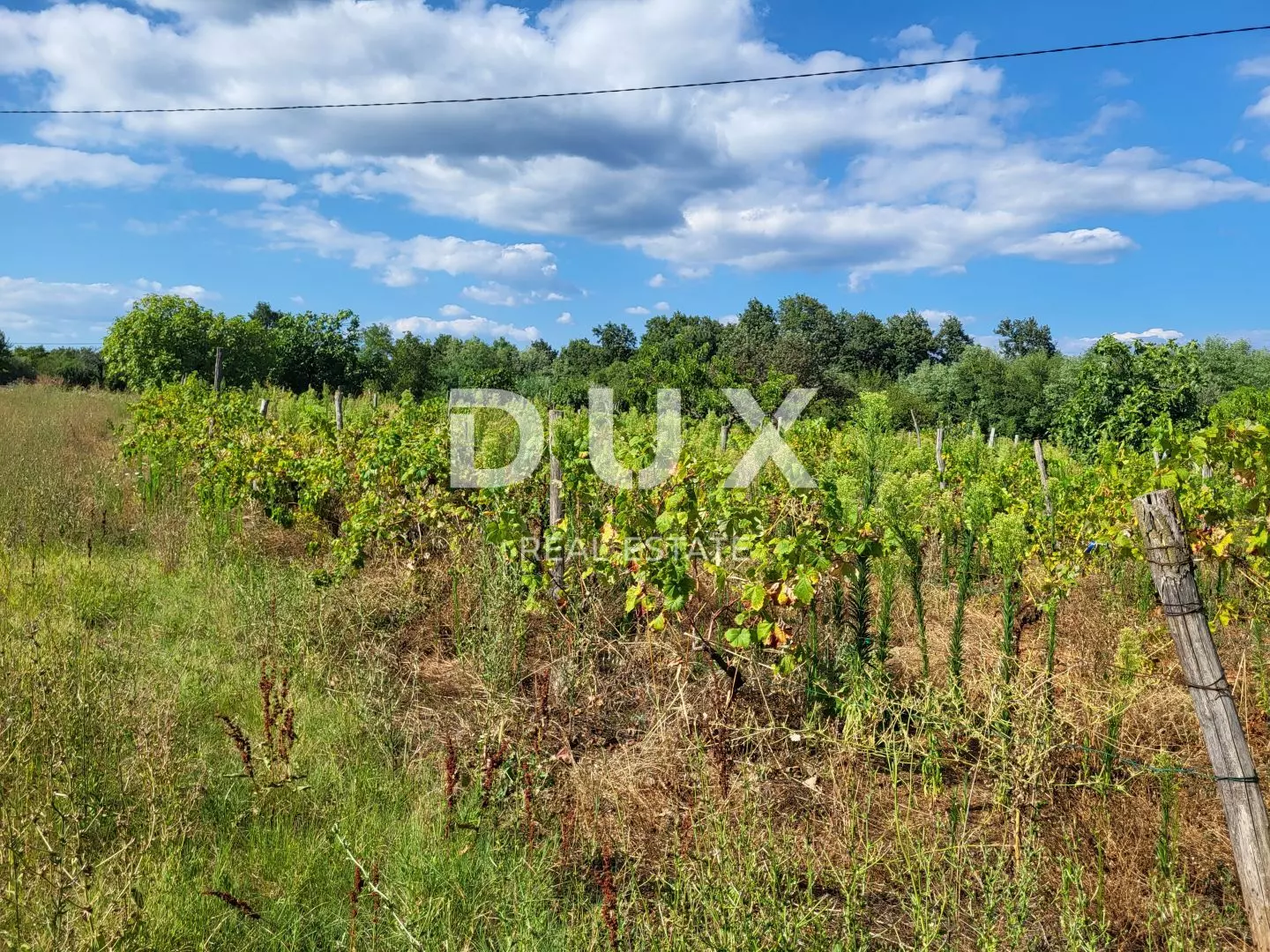 Land In Barban, Croatia (745 M²)