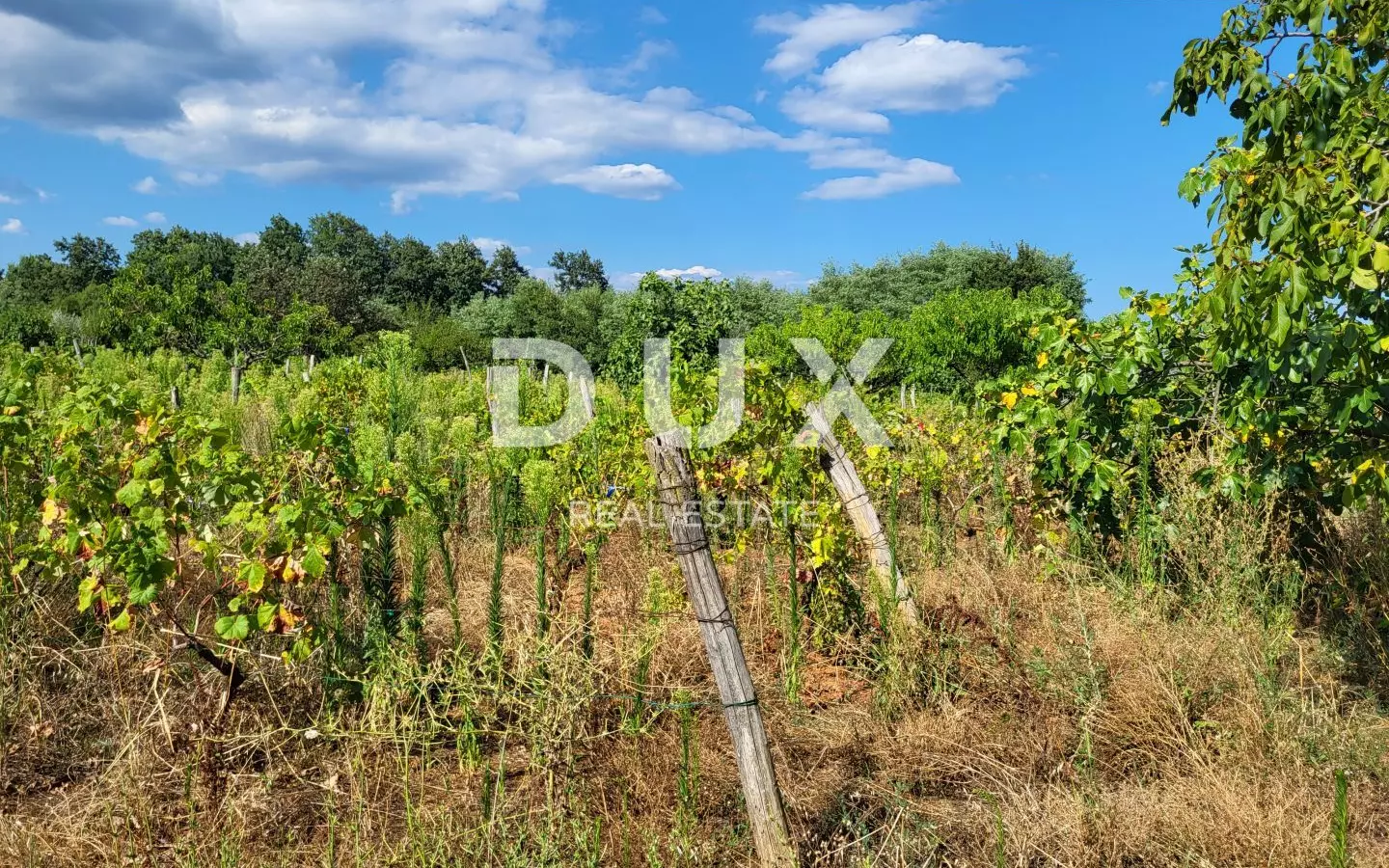 Land In Barban, Croatia (745 M²)