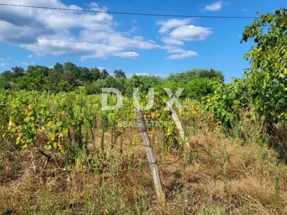 Land In Barban, Croatia (745 M²)
