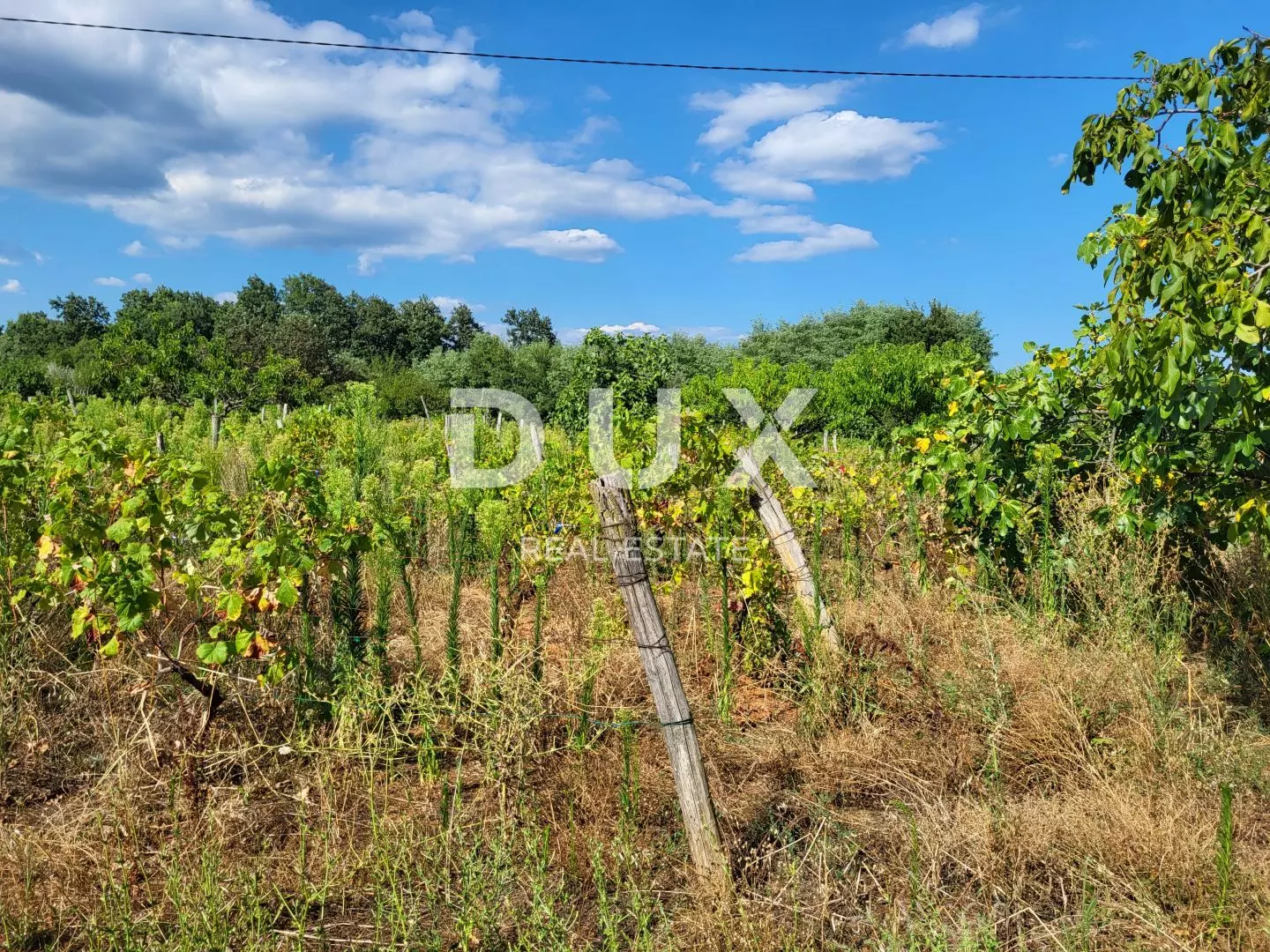 Land In Barban, Croatia (745 M²)