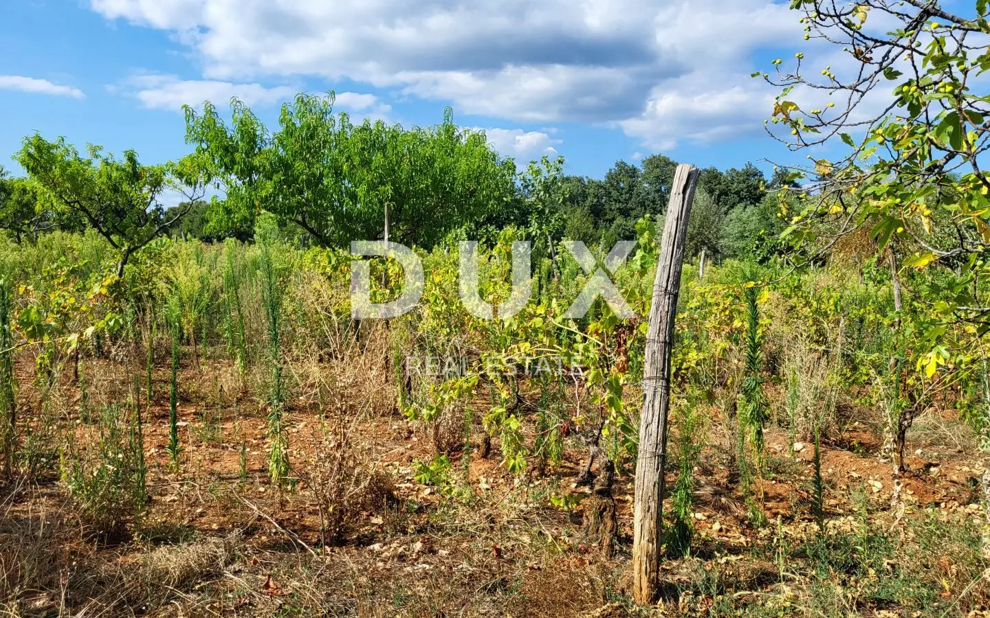 Land In Barban, Croatia (923 M²)