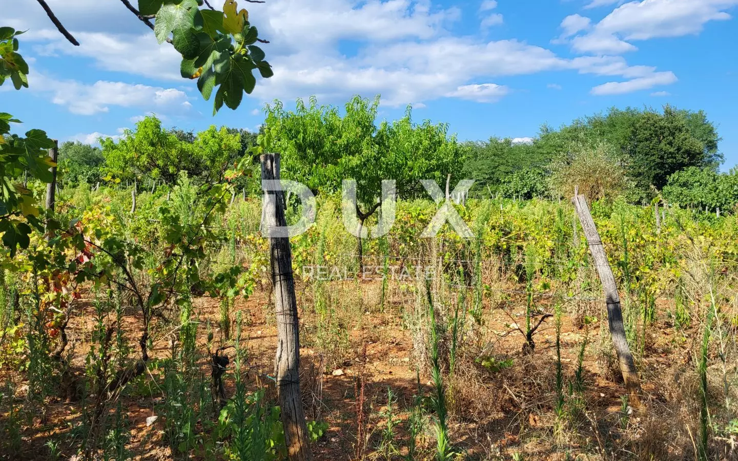 Land In Barban, Croatia (1.677 M²)