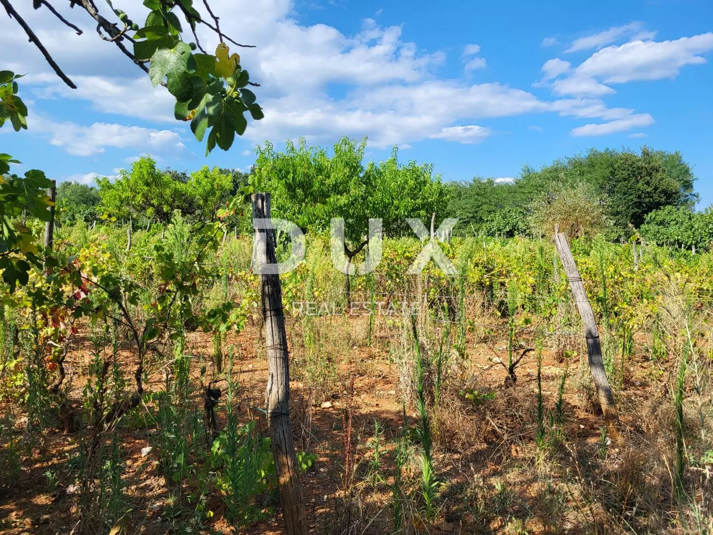 Land In Barban, Croatia (1.677 M²)