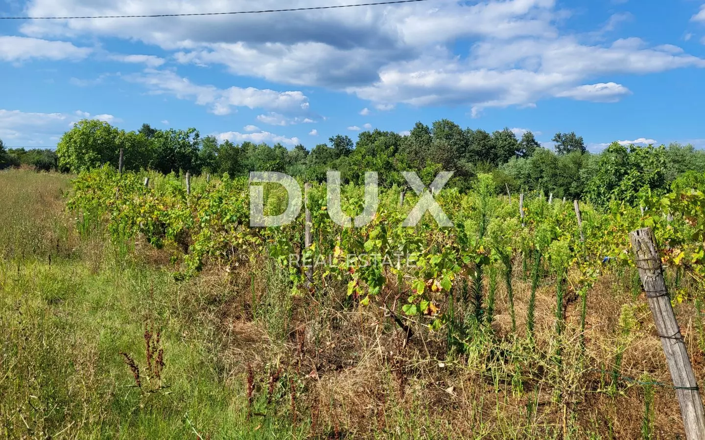 Land In Barban, Croatia (1.677 M²)