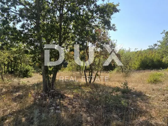 Land In Svetvinčenat, Croatia (804 M²)