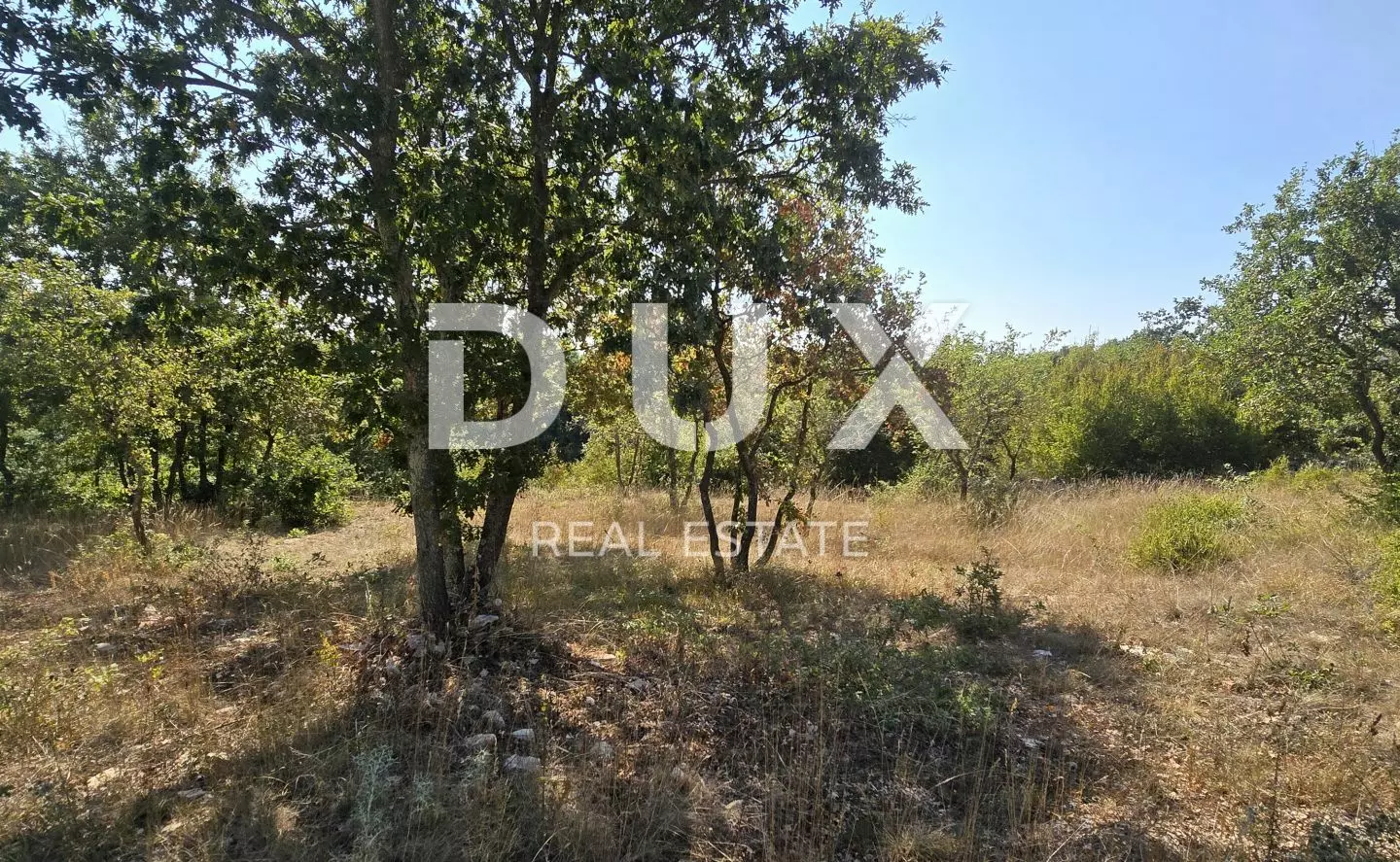 Land In Svetvinčenat, Croatia (1.556 M²)