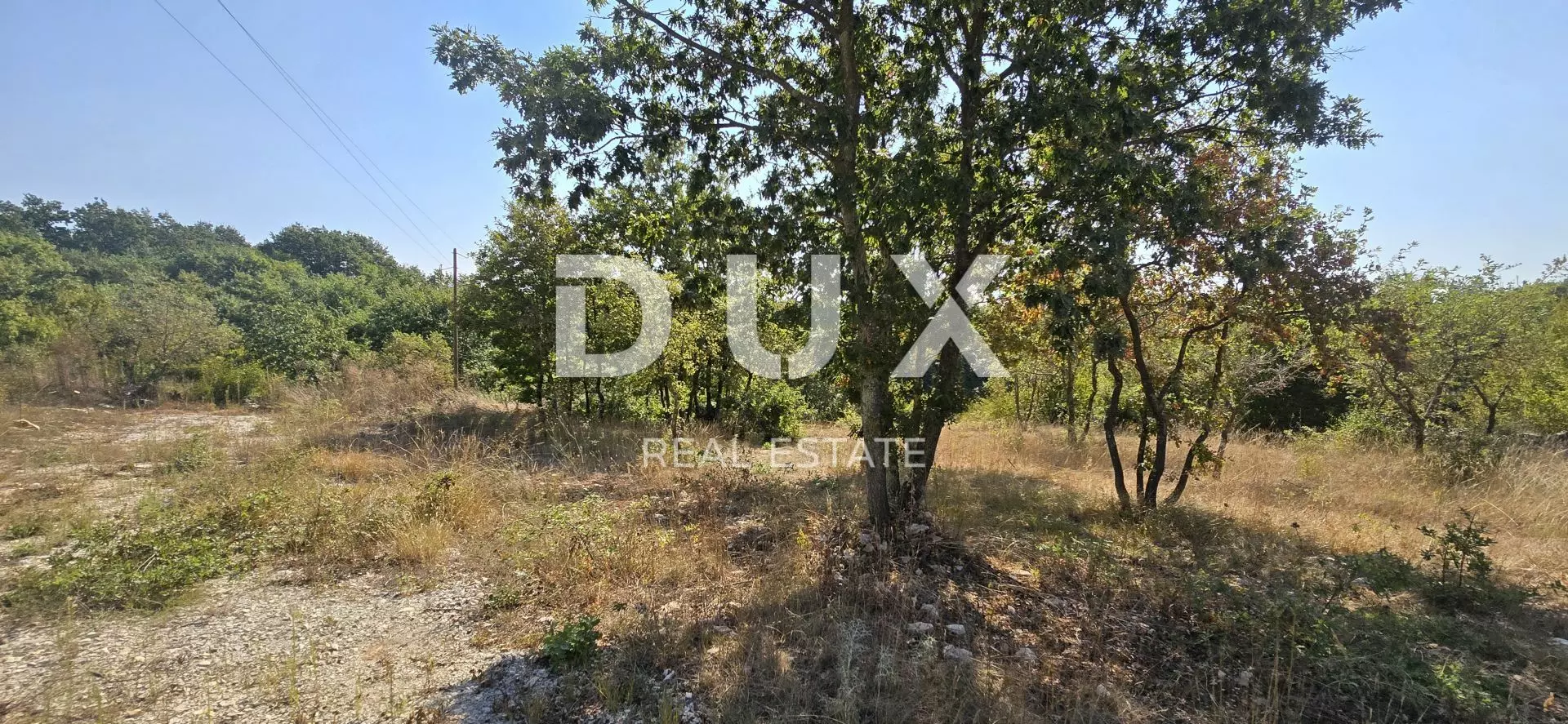 1725452435_20240904_103501-ab4da7 Land In Svetvinčenat, Croatia (1.556 M²)
