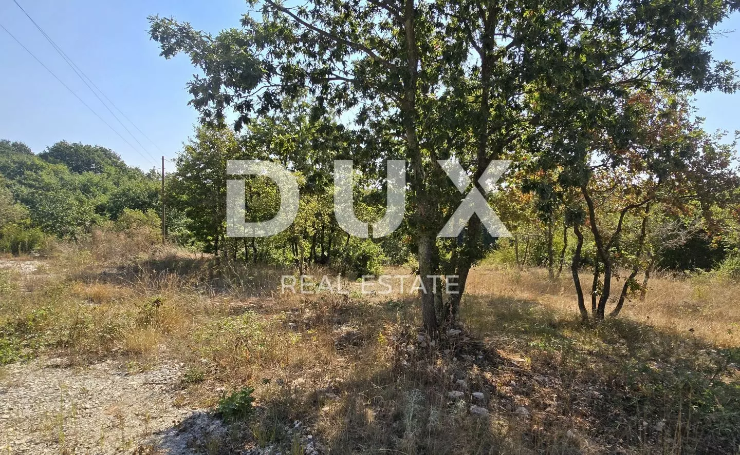 Land In Svetvinčenat, Croatia (2.302 M²)
